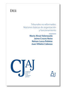portada Tribunales no Reformados: Nociones Básicas de Organización y Funcionamiento (in Spanish)