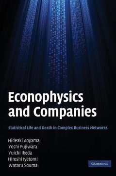 portada Econophysics and Companies Hardback 