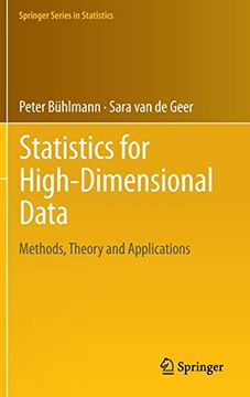 portada Statistics for High-Dimensional Data: Methods, Theory and Applications (Springer Series in Statistics) (en Inglés)