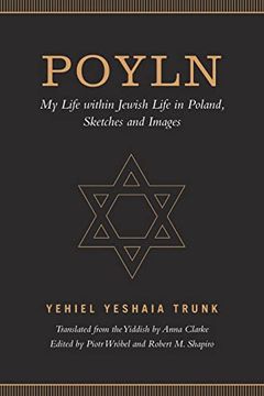 portada Poyln: My Life Within Jewish Life in Poland, Sketches and Images 