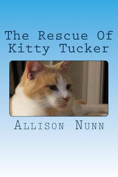 portada The Rescue Of Kitty Tucker: A Brave Lost Kitty Finds A New Home (en Inglés)