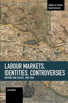 portada Labour Markets, Identities, Controversies: Reviews and Essays, 1982-2016 (Studies in Critical Social Sciences) (in English)