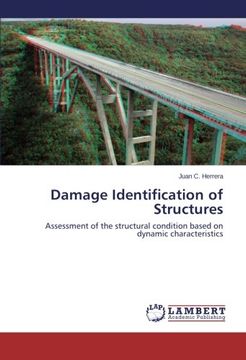 portada Damage Identification of Structures