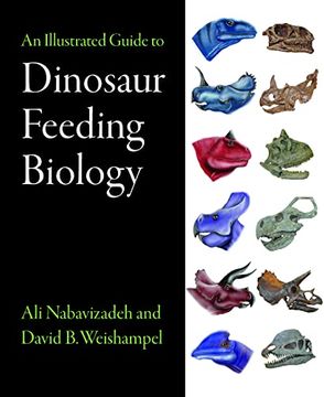 portada An Illustrated Guide to Dinosaur Feeding Biology (in English)
