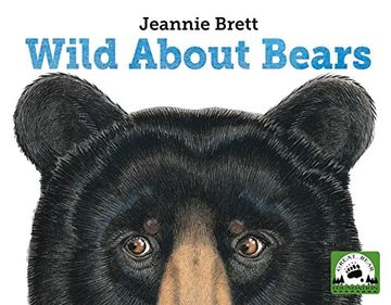 portada Wild About Bears (en Inglés)