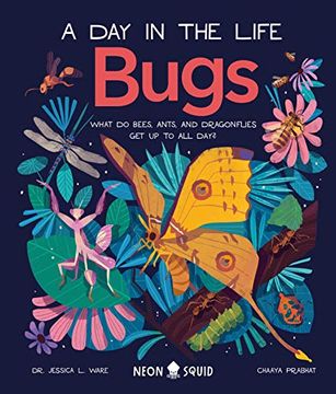 portada Bugs (a day in the Life): What do Bees, Ants, and Dragonflies get up to all Day? (in English)