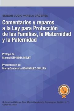 portada Comentarios y reparos a la Ley para Protección de las Familias, la Maternidad y la Paternidad
