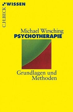 portada Psychotherapie: Grundlagen und Methoden (en Alemán)
