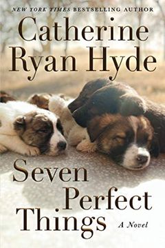 portada Seven Perfect Things: A Novel (in English)