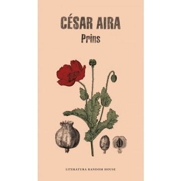 portada Prins (in Spanish)
