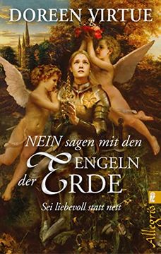 portada Nein Sagen mit den Engeln der Erde: Sei Liebevoll Statt Nett (en Alemán)