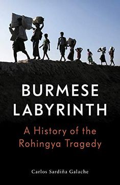 portada The Burmese Labyrinth (Lbe) (en Inglés)