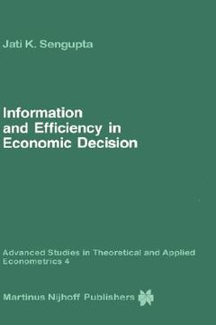 portada information and efficiency in economic decision (en Inglés)