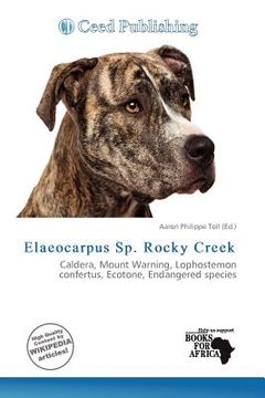 elaeocarpus sp. rocky creek (en Inglés)