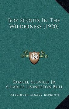 portada boy scouts in the wilderness (1920) (en Inglés)