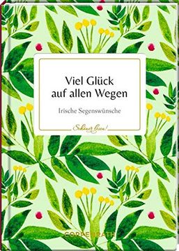 portada Viel Glück auf Allen Wegen: Irische Segenswünsche (Schöner Lesen! ) (in German)