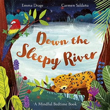 portada Down the Sleepy River: A Mindful Bedtime Book (in English)