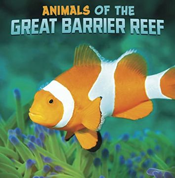 portada Animals of the Great Barrier Reef