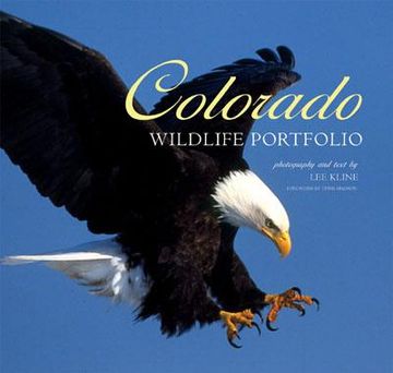 portada colorado wildlife portfolio (in English)