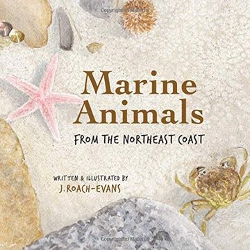 portada Marine Animals: From the Northeast Coast (en Inglés)