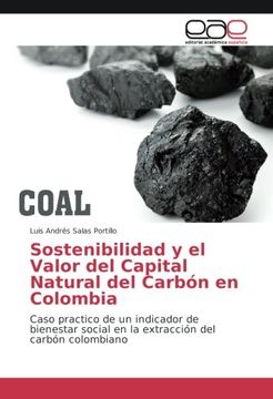 portada Sostenibilidad y el Valor del Capital Natural del Carbón en Colombia: Caso practico de un indicador de bienestar social en la extracción del carbón colombiano