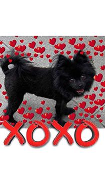 portada Valentine's all Love Xoxo Pomeranian Creative Blank Journal 
