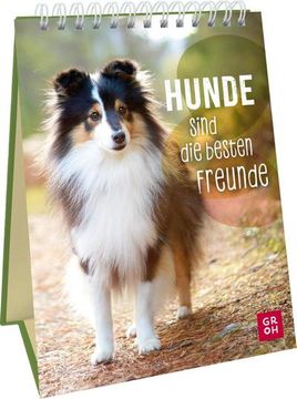portada Hunde Sind die Besten Freunde (in German)