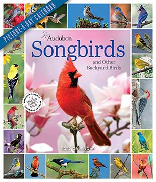 Libro Audubon Songbirds and Other Backyard Birds Picture-A-Day Wall ...