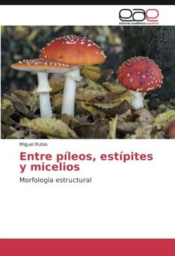 portada Entre píleos, estípites y micelios: Morfología estructural