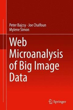 portada Web Microanalysis of Big Image Data