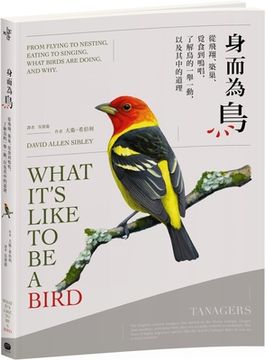 portada What It's Like to Be a Bird: From Flying to Nesting, Eating to Singing--What Birds Are Doing, and Why 