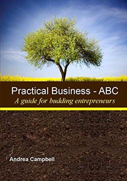 portada Practical Business - abc (a Guide for Budding Entrepreneurs) (en Inglés)