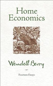 home economics,fourteen essays