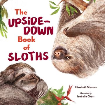 portada The Upside-Down Book of Sloths (en Inglés)