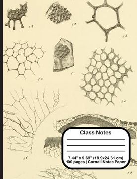 portada Class Notes (in English)
