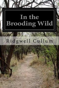 portada In the Brooding Wild (en Inglés)