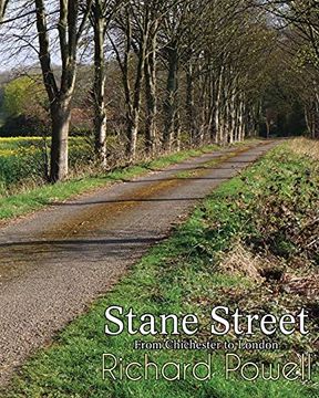portada Stane Street: From Chichester to London (en Inglés)