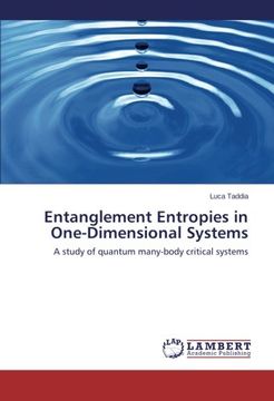 portada Entanglement Entropies in One-Dimensional Systems
