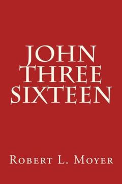 portada John Three Sixteen (en Inglés)