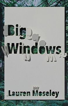 portada Big Windows (Carnegie Mellon Poetry Series) 