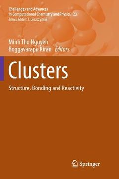 portada Clusters: Structure, Bonding and Reactivity (en Inglés)