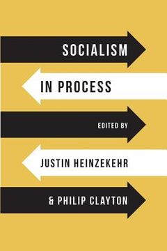 portada Socialism in Process (in English)