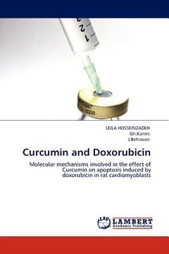 portada curcumin and doxorubicin (en Inglés)