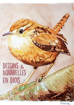 portada Dessins & Aquarelles en Diois: Atelier Escdd (en Francés)