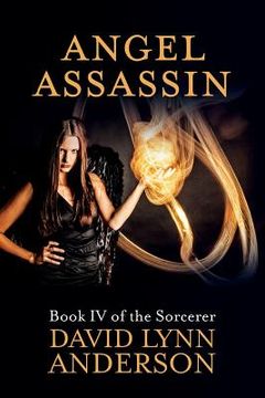 portada Angel Assassin: Book IV of the Sorcerer