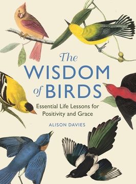 portada The Wisdom of Birds: Essential Life Lessons for Positivity and Grace (in English)