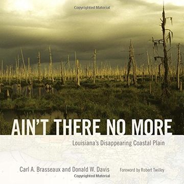 portada Ain't There No More: Louisiana's Disappearing Coastal Plain (America's Third Coast Series)