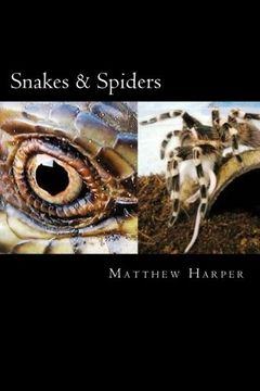 portada Snakes & Spiders: Two Fascinating Books Combined Together Containing Facts, Trivia, Images & Memory Recall Quiz: Suitable for Adults & Children (Matthew Harper)