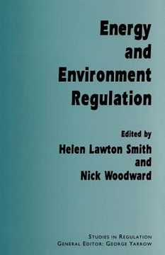 portada Energy and Environment Regulation (in English)