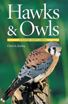 portada hawks & owls of eastern north america (en Inglés)
